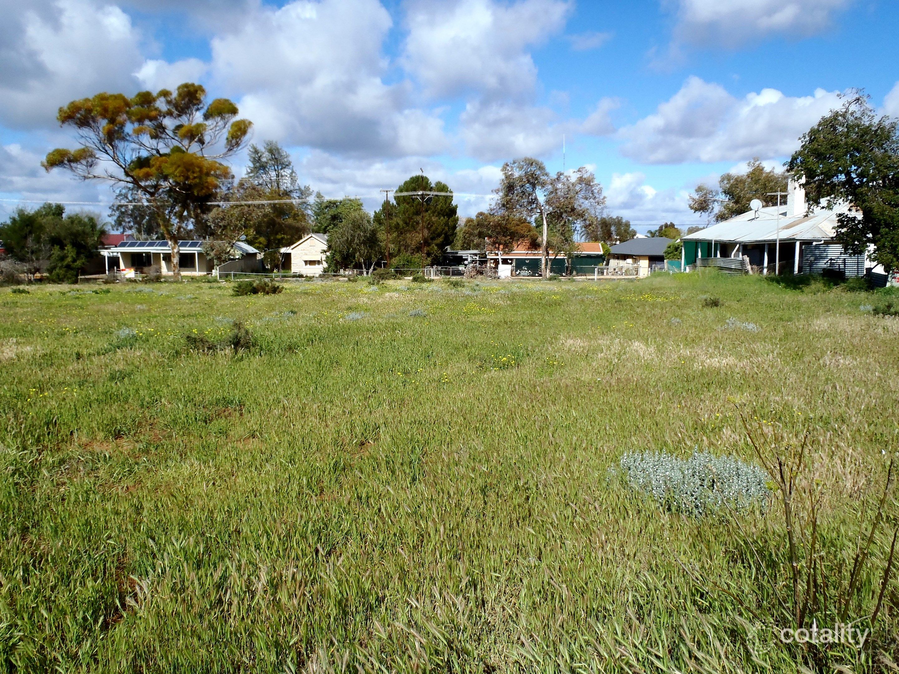 17 Muscat Ave, Berri, SA 5343