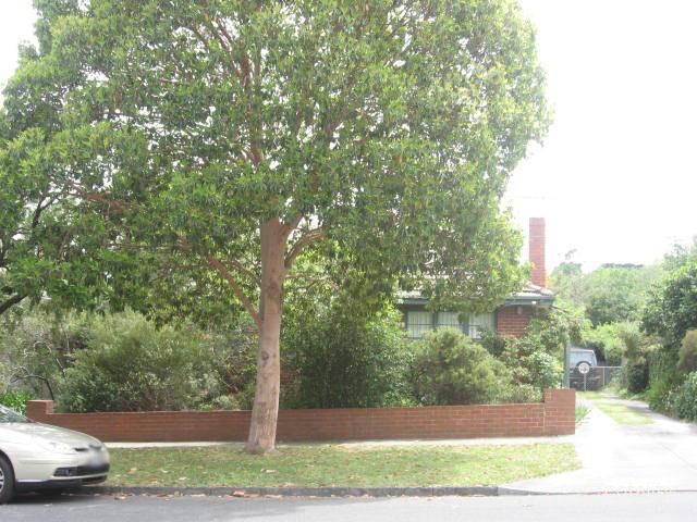 1/109 Broughton Rd, Surrey Hills, VIC 3127