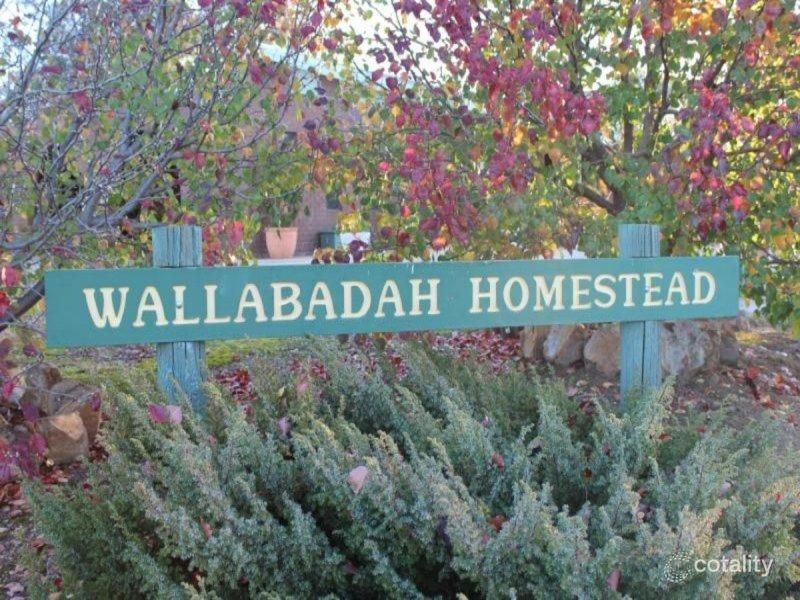 428 Goorambat-Thoona Rd, Goorambat, VIC 3725