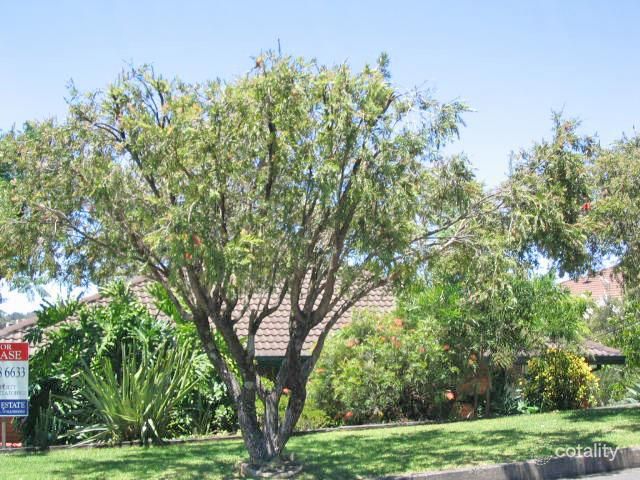 9 Zelang Ave, Figtree, NSW 2525