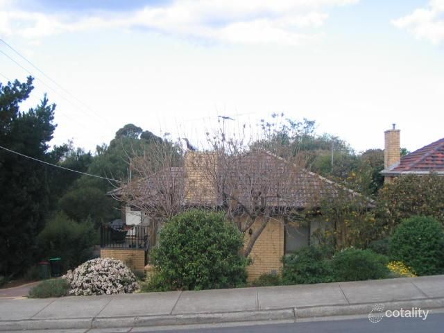 14 Drina St, Strathmore, VIC 3041