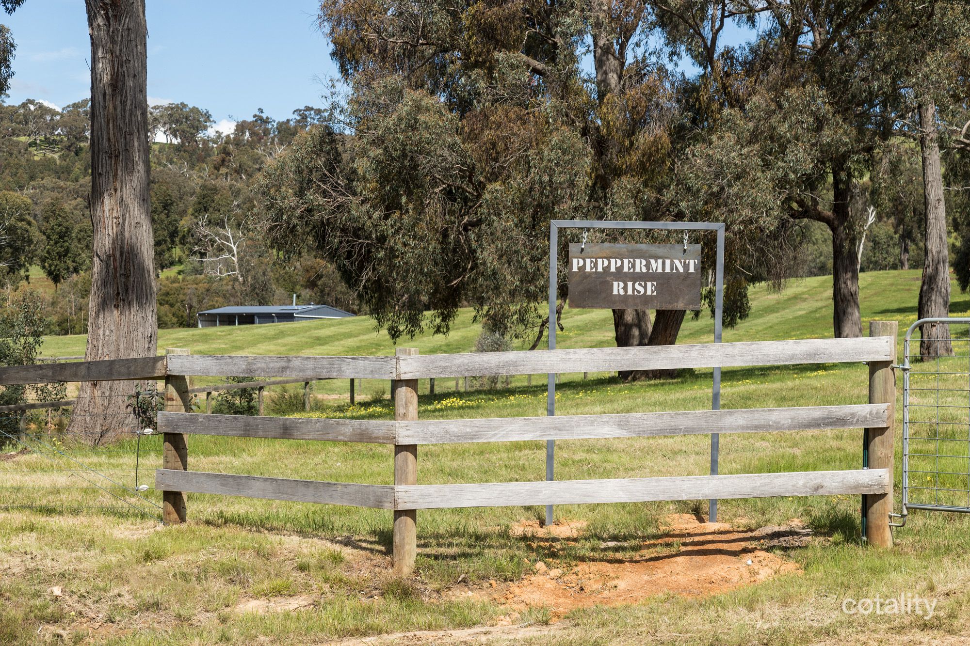 131 Webbs Lane, Taggerty, VIC 3714