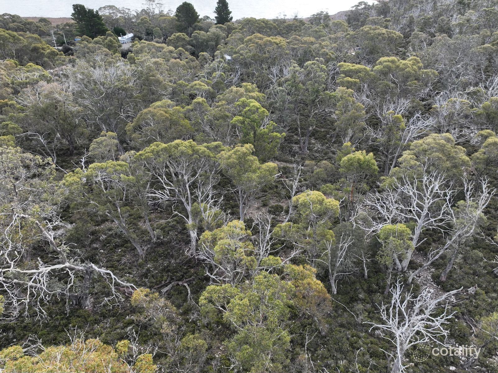 13 Watkins Rd, Tods Corner, TAS 7030