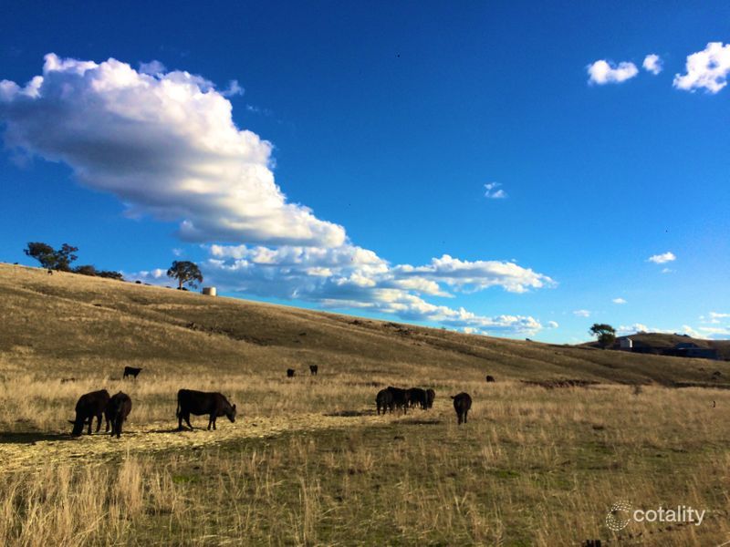 19 Springvale Rd, Wyangala, NSW 2808