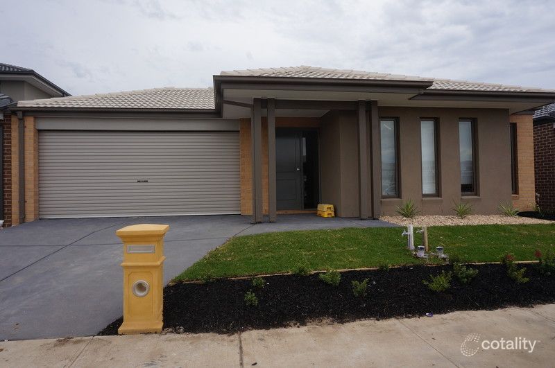 44 Haflinger Ave, Clyde North, VIC 3978