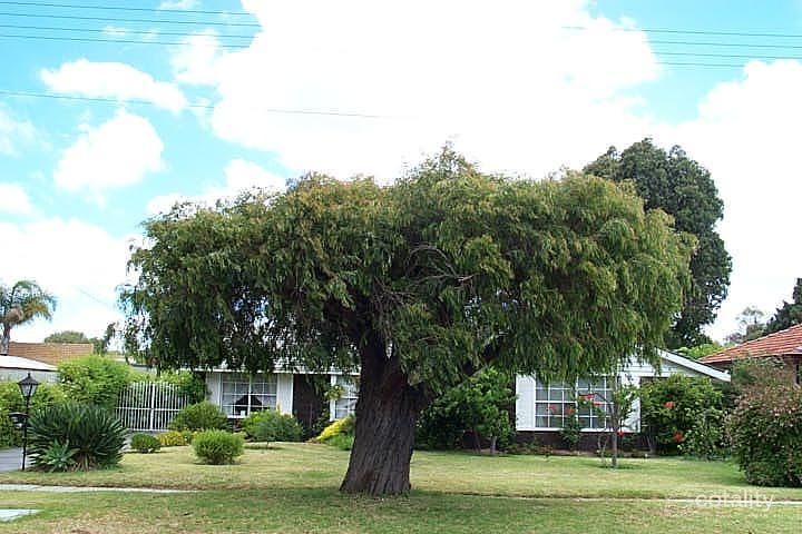 80 Dulwich St, Beckenham, WA 6107