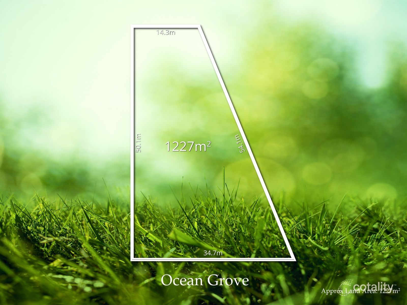 123 Cerberus Dr, Ocean Grove, VIC 3226