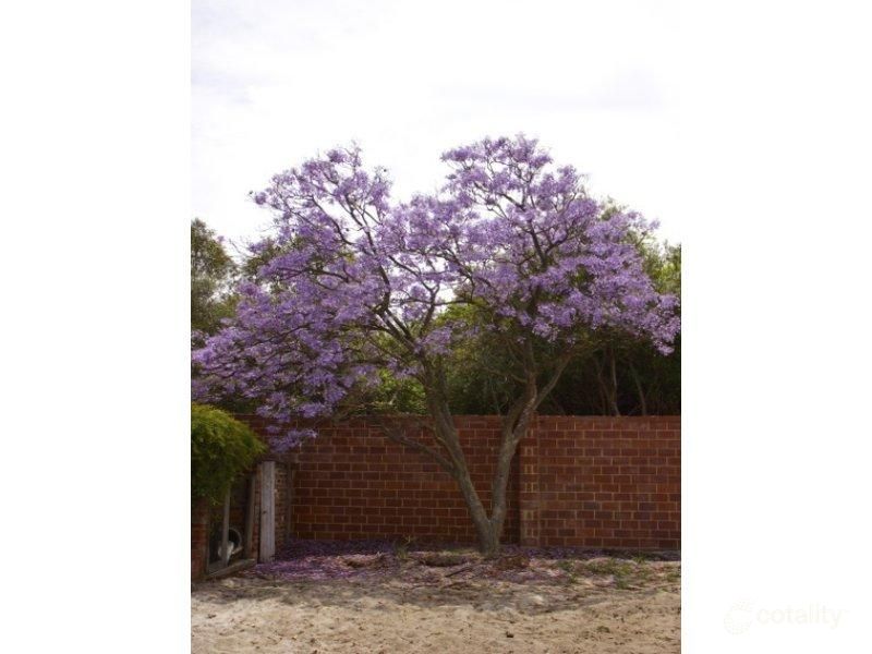 38a Wyatt Rd, Bayswater, WA 6053