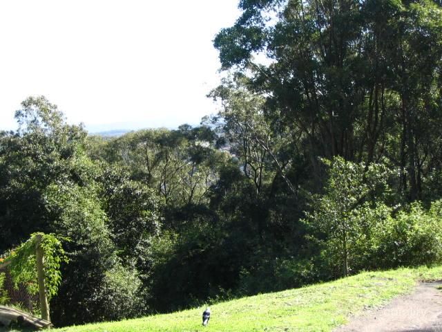 105 Reservoir Rd, Glendale, NSW 2285