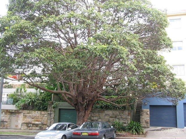 91 Birriga Rd, Bellevue Hill, NSW 2023