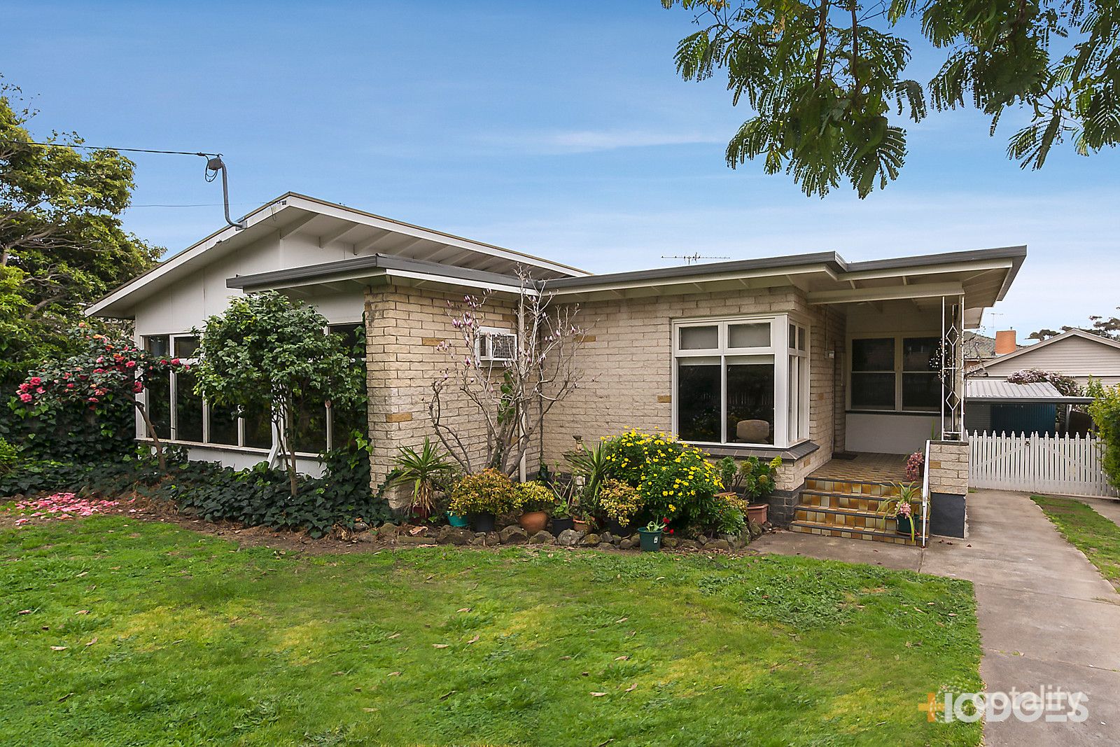 26 Lily St, Hamlyn Heights, VIC 3215