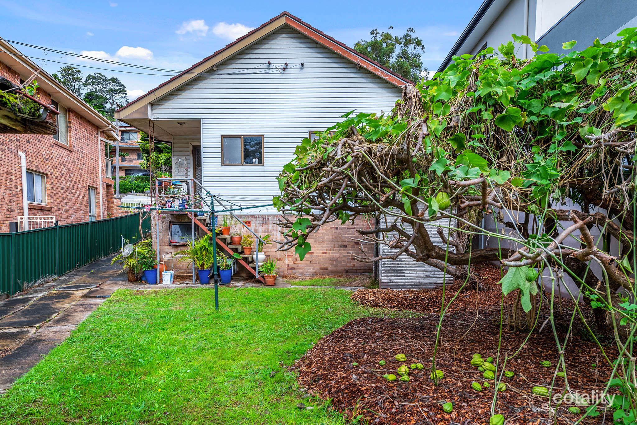 11 Macquarie Rd, Earlwood, NSW 2206