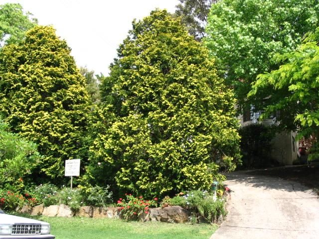 8 Iris Ave, Coniston, NSW 2500