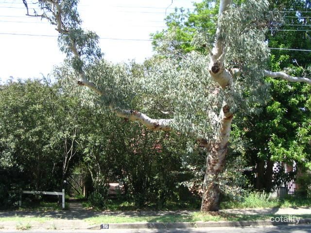 16 Stanbury St, Gladesville, NSW 2111