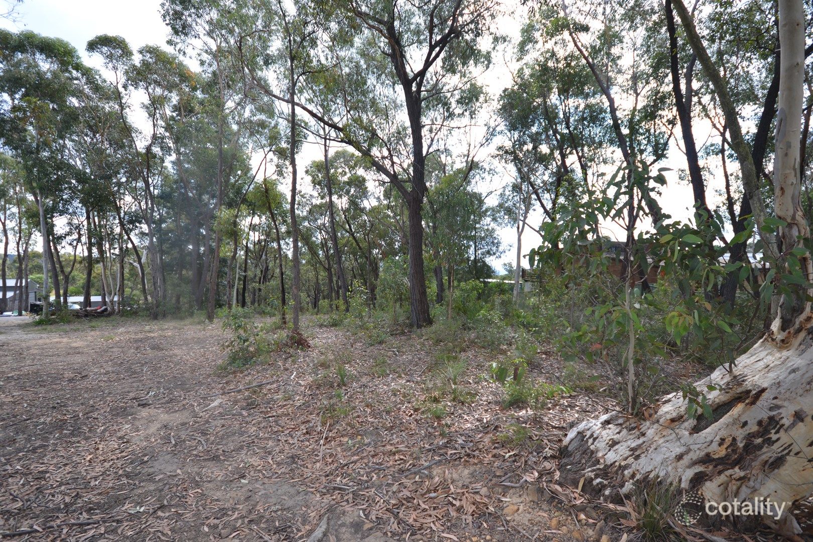 6 Grandview Pde, Hill Top, NSW 2575