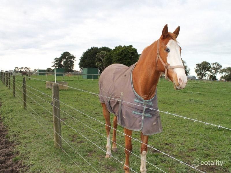 1030 Colac-Forrest Rd, Yeodene, VIC 3249