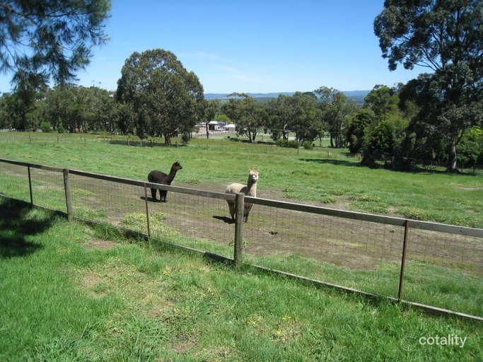 174 Pine Ave, Badger Creek, VIC 3777