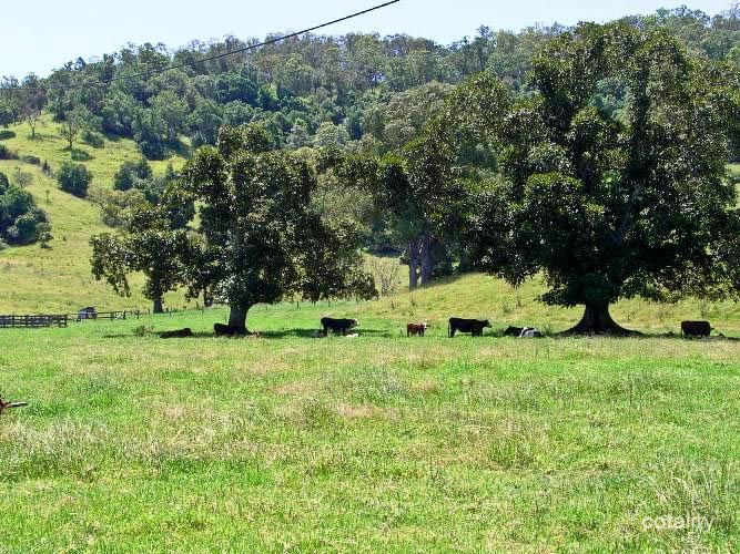 49 Hicks Rd, Spring Grove, NSW 2470