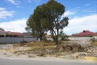 11 Browallia Cl, Canning Vale, WA 6155