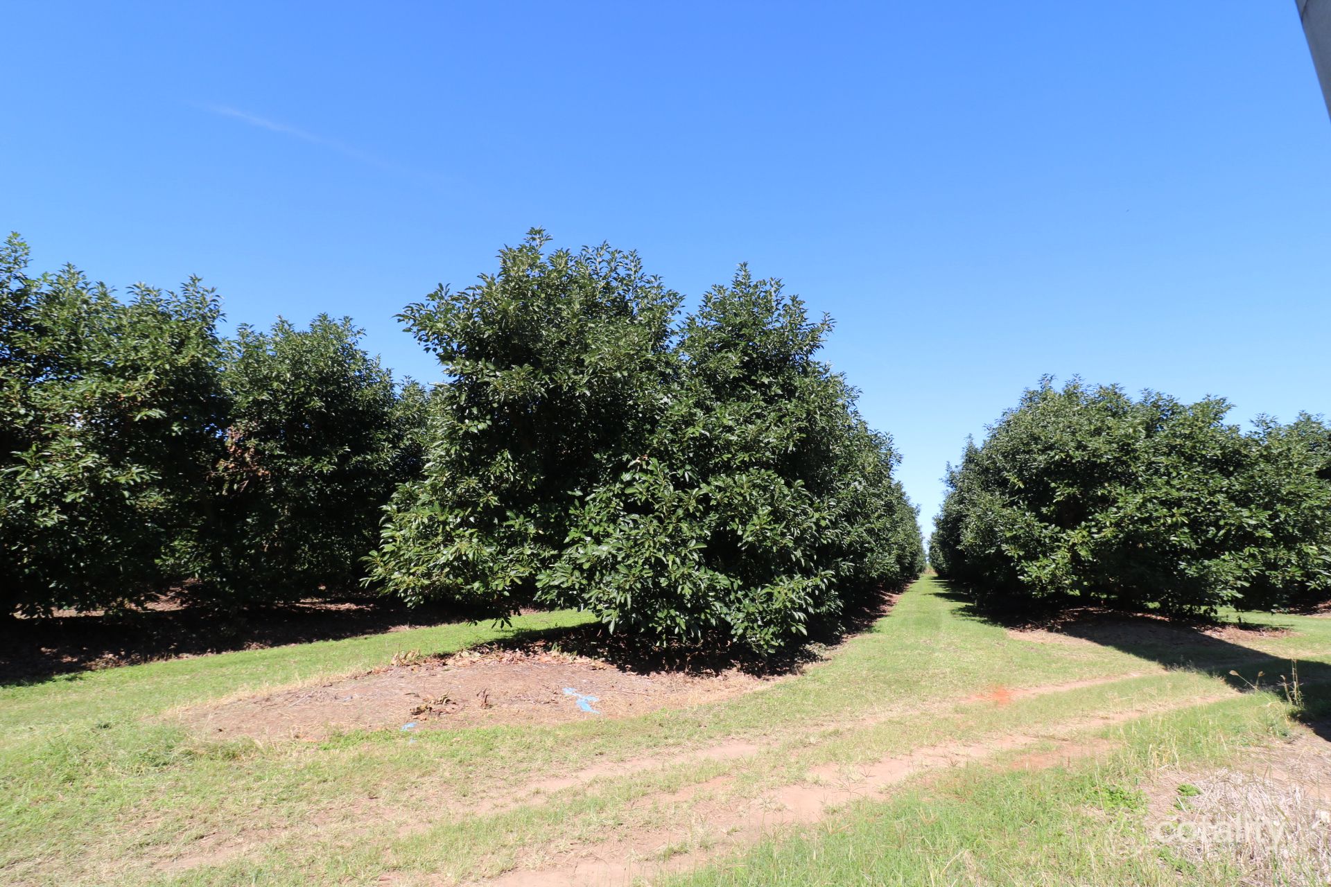 3872 Childers Rd, North Isis, QLD 4660