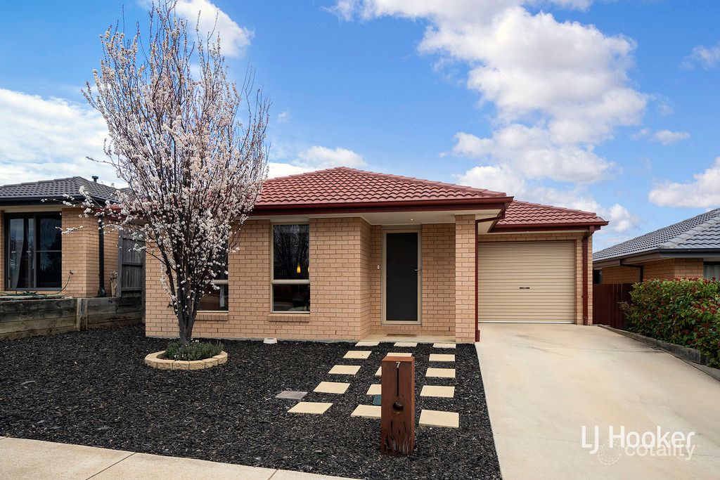 7 Audrey Cahn St, Macgregor, ACT 2615