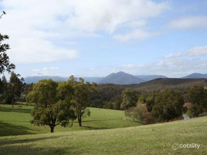 65 Hodges Rd, Chum Creek, VIC 3777