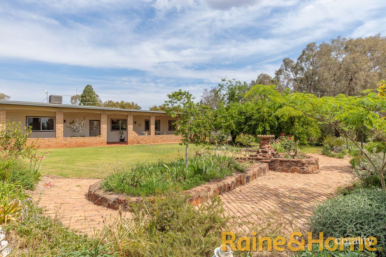 81l Burraway Rd, Terramungamine, NSW 2830