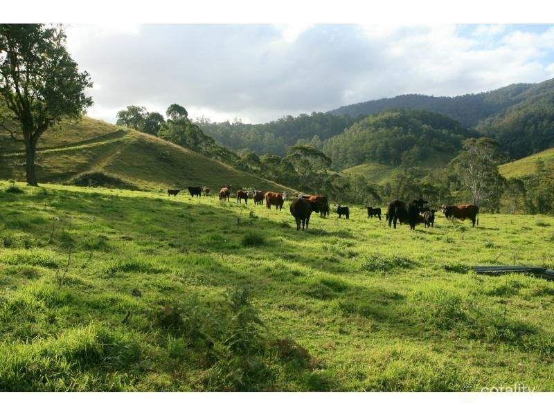 1593 Curricabark Rd, Dewitt, NSW 2422