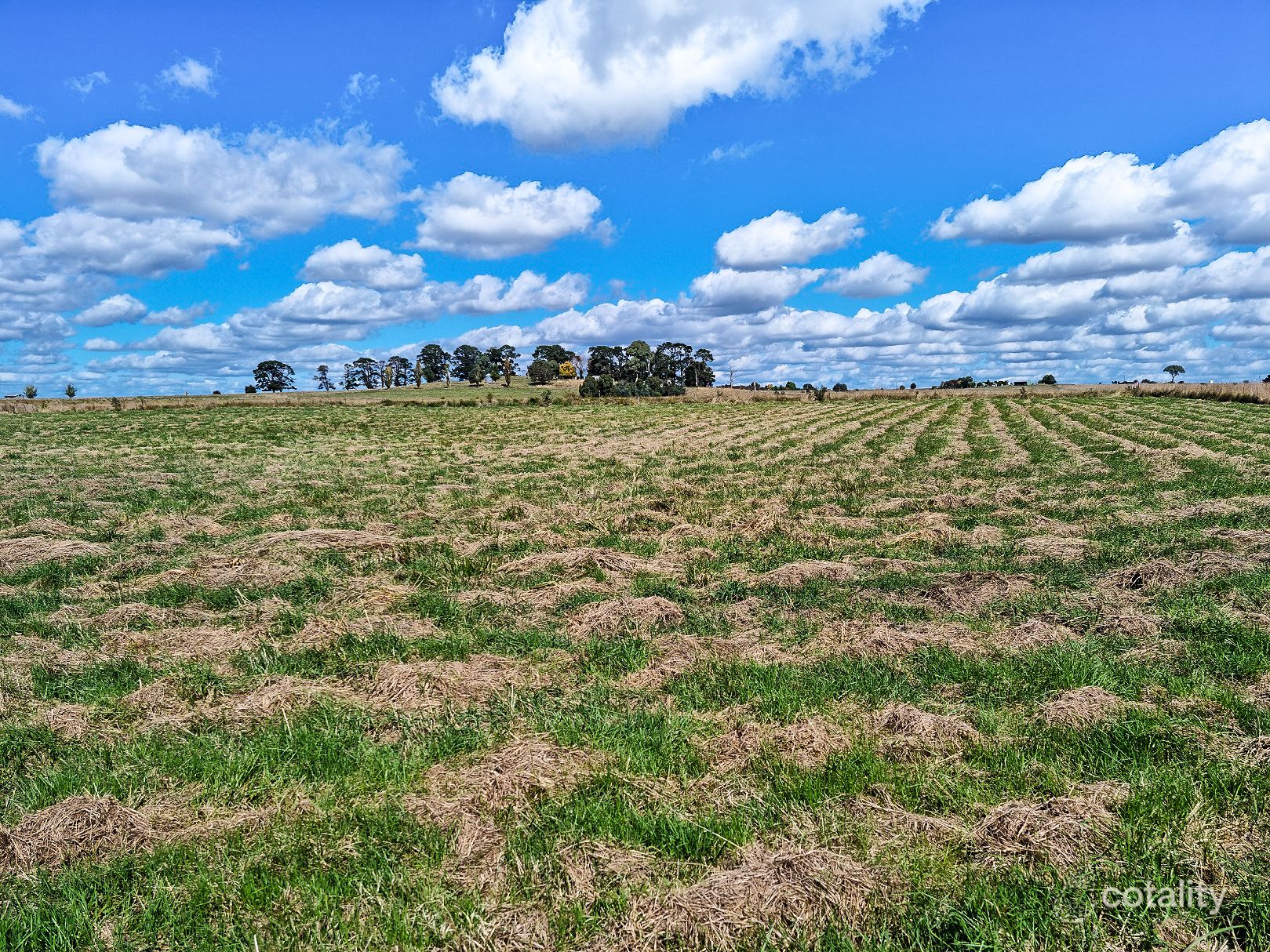 66 Eucalyptus Cl, Forest Reefs, NSW 2798