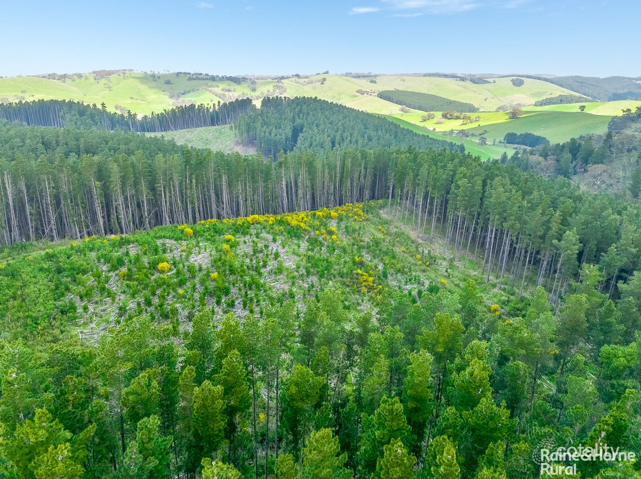 Lot 1750 Nicol Rd, Bull Creek, SA 5157