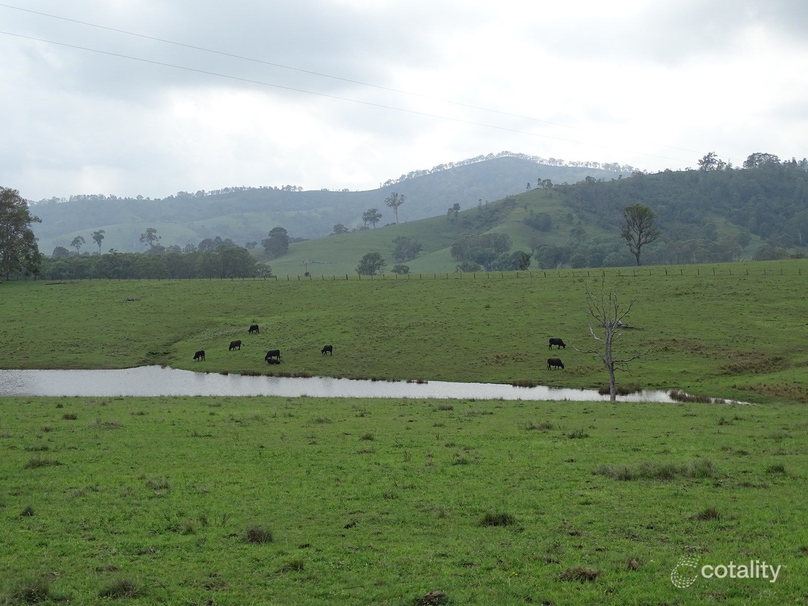 400 Clements Rd, Lewinsbrook, NSW 2311