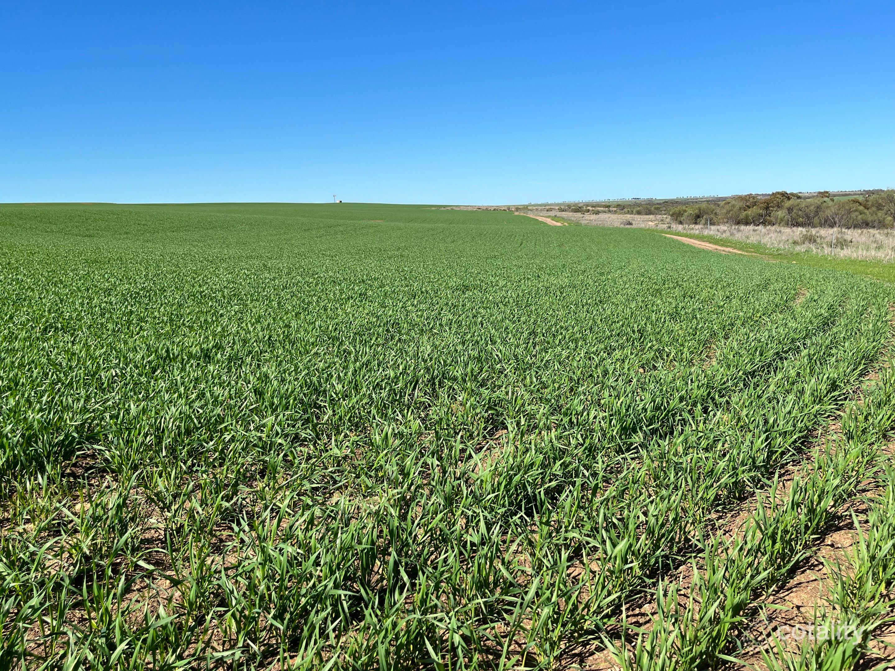 972 Horry Rd, East Bowes, WA 6535