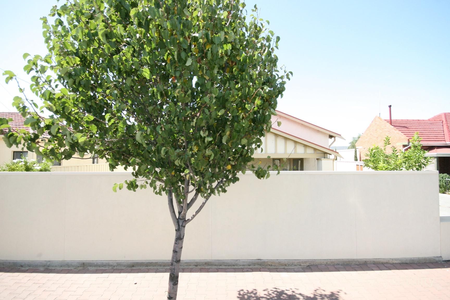 709a Marion Rd, Ascot Park, SA 5043