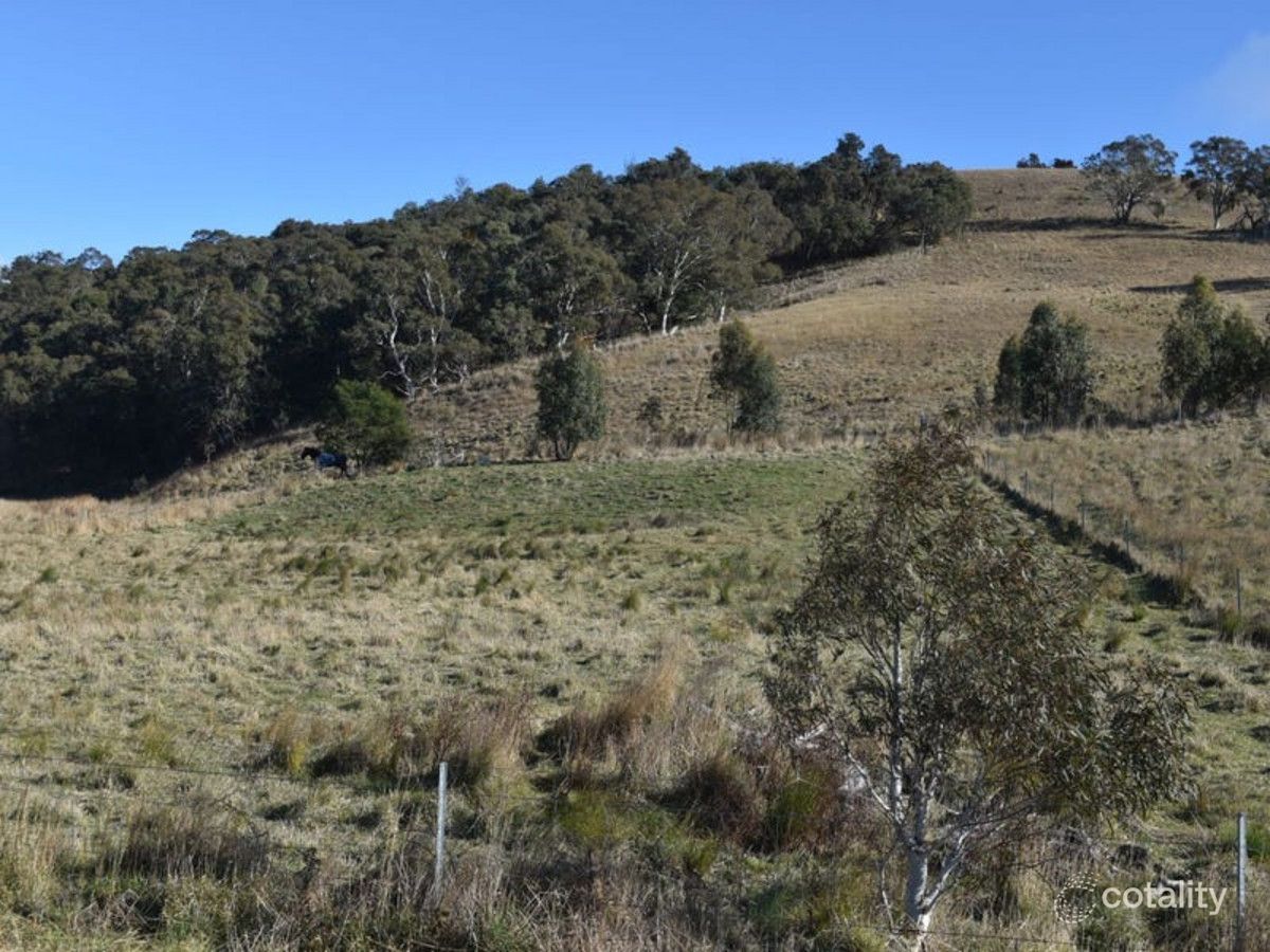 41 Mulwaree St, Tarago, NSW 2580