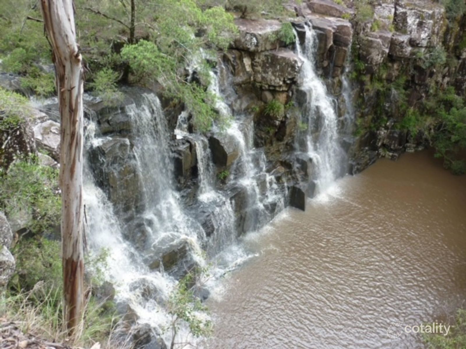 455 Red Rock Rd, Boorook, NSW 2372