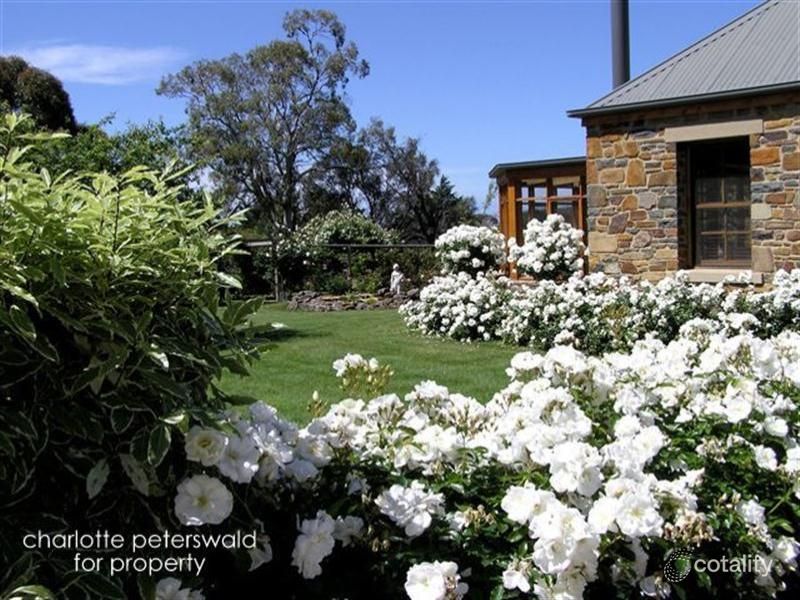 13182 Tasman Hwy, Swansea, TAS 7190