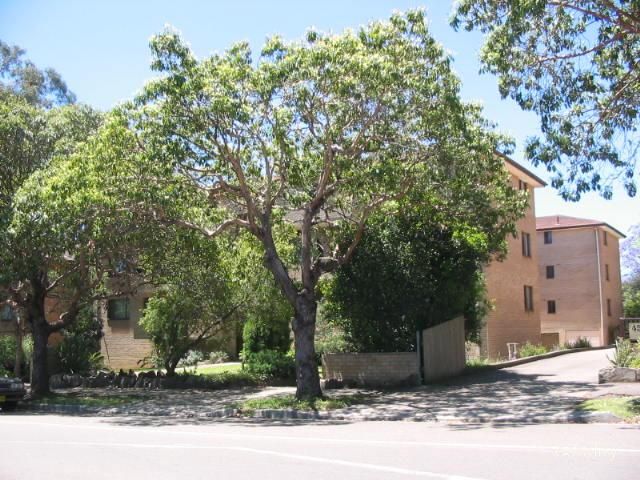 3/47-49 Wigram St, Harris Park, NSW 2150