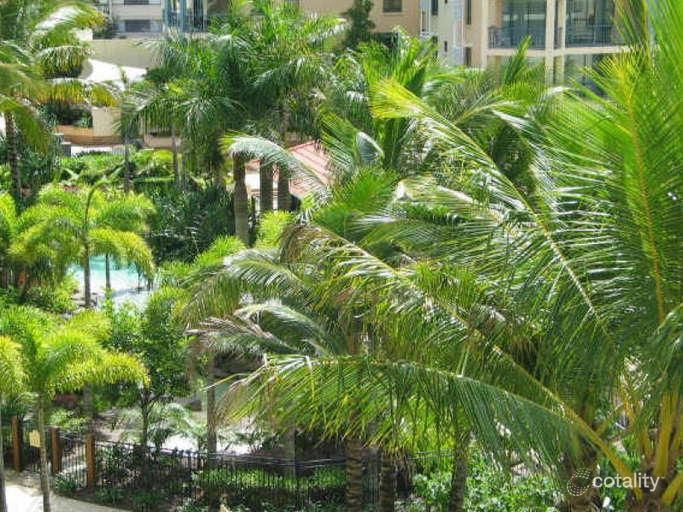 529/10 Okinja Rd, Alexandra Headland, QLD 4572