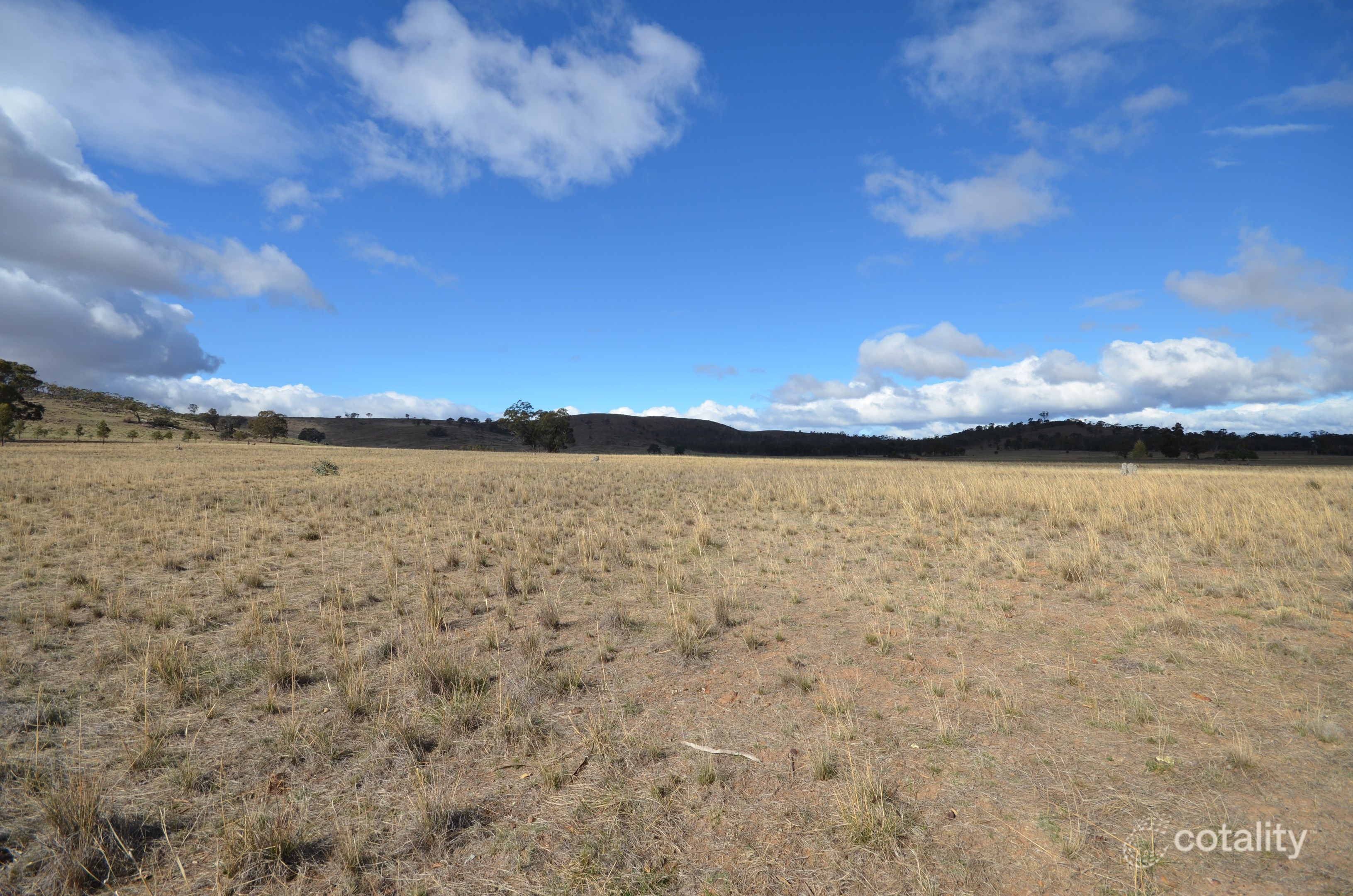 336 Mcardles Lane, Dunluce, VIC 3472