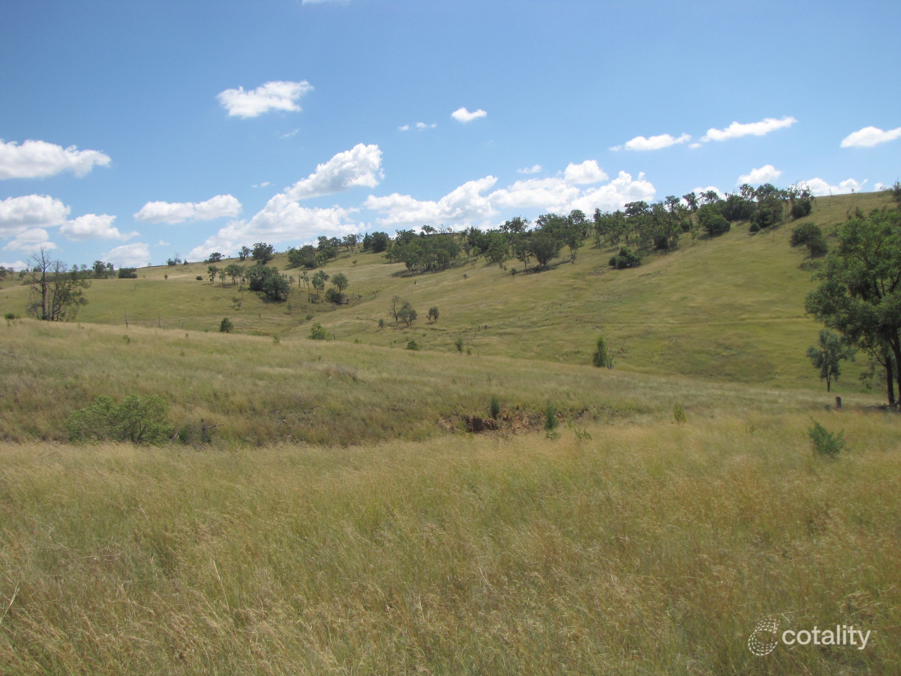 2381 Bedwell Downs Rd, Yetman, NSW 2410