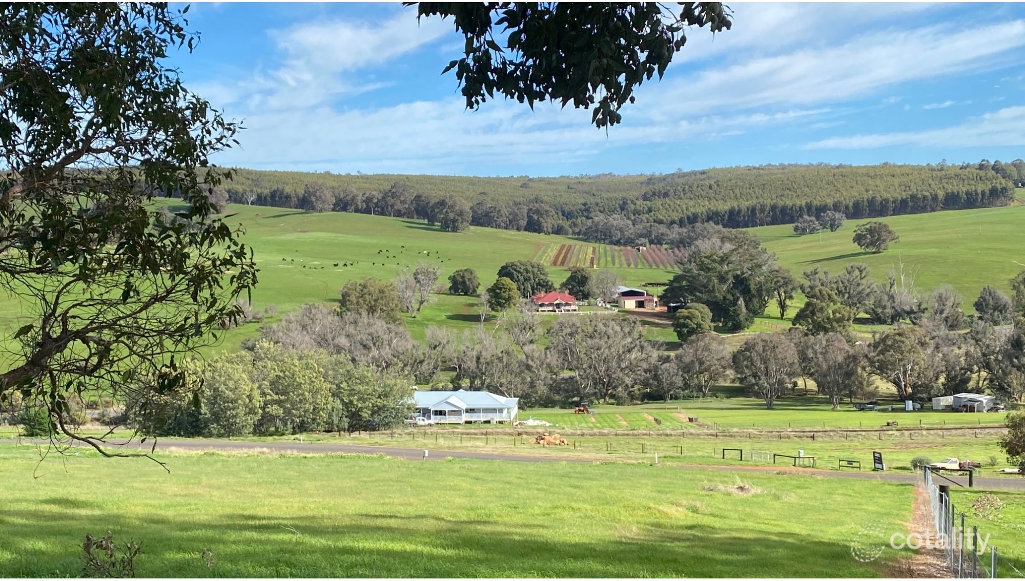 26 Sunridge Dr, Bridgetown, WA 6255