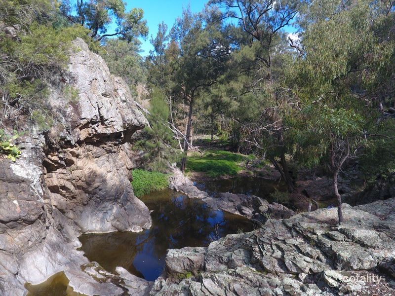 640 Chilcotts Creek Rd, Chilcotts Creek, NSW 2339