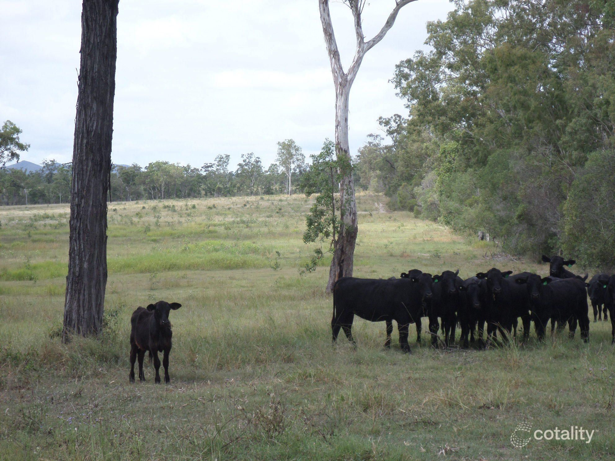 50l-53 Eureka Rd, Golden Fleece, QLD 4621