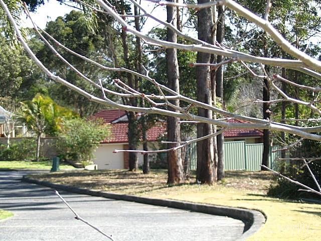 23 Dalgety Cres, Green Point, NSW 2251