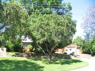 1 Cary St, Emu Plains, NSW 2750