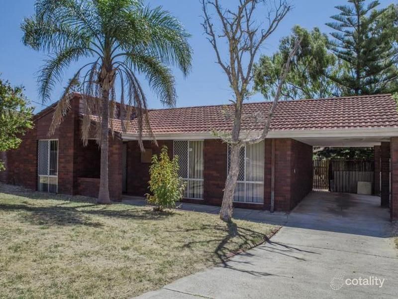 114 Warrandyte Dr, Craigie, WA 6025