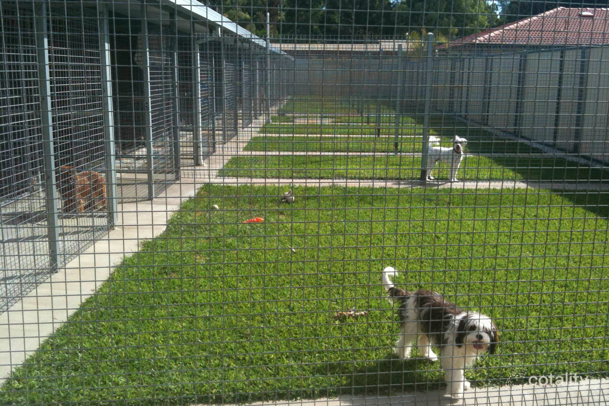 7 Battersea Rd, Canning Vale, WA 6155