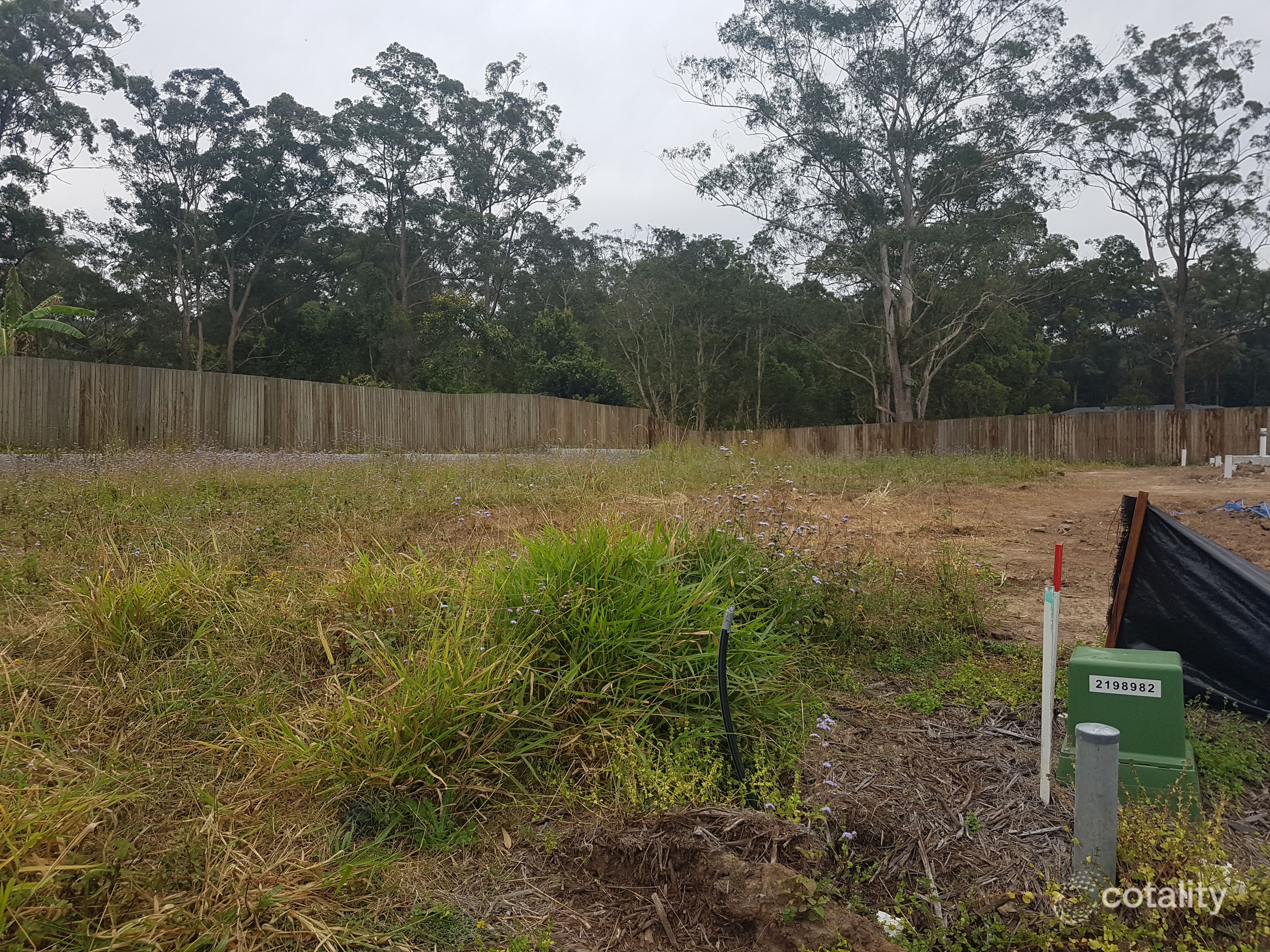 9 Watergum Ct, Landsborough, QLD 4550