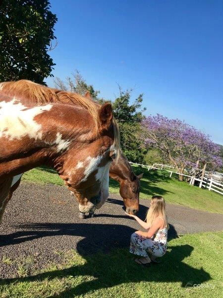 35 Dale View Lane, Mapleton, QLD 4560