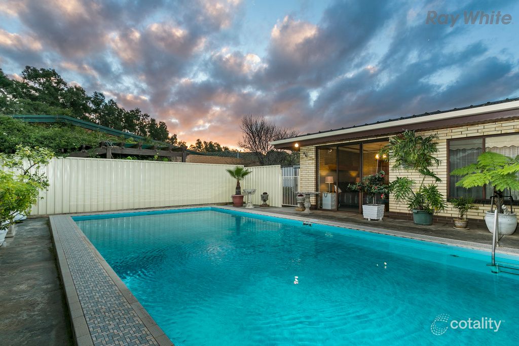 316 Marion Rd, Netley, SA 5037